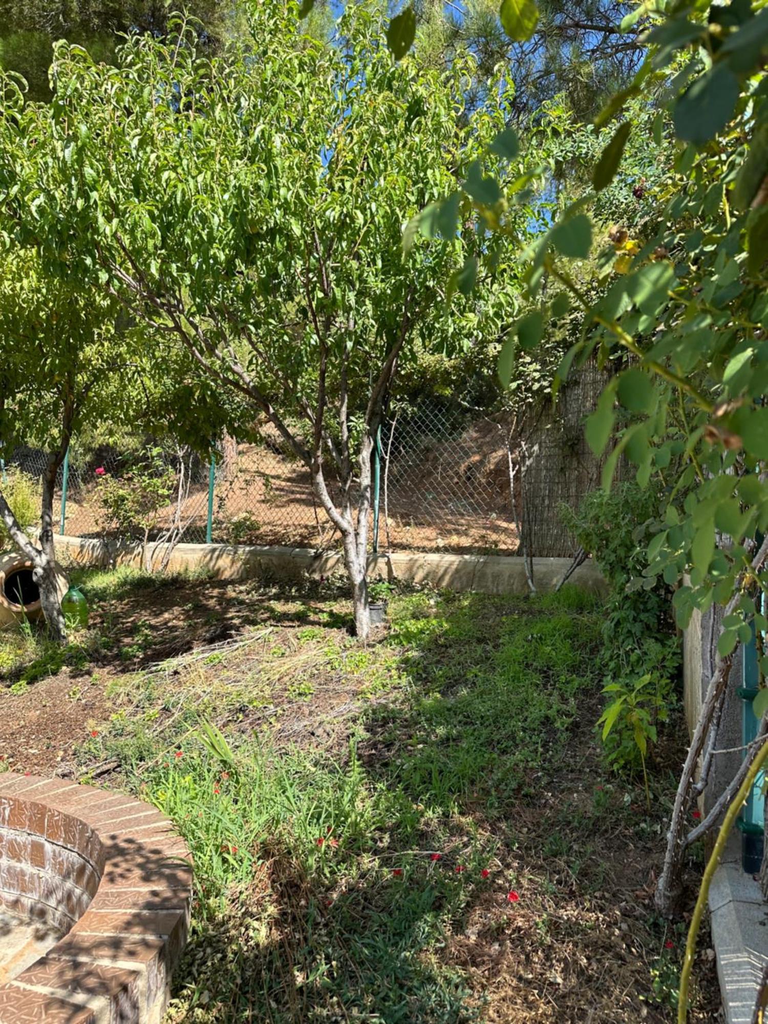 Casas Rurales Cerro Lobo Yeste Exterior foto
